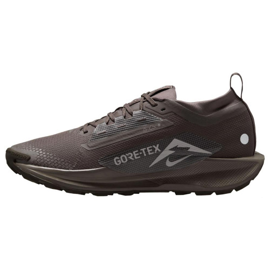 Nike Pegasus Trail 5 Gore-Tex